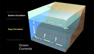 There are two distinct current systems in the ocean—surface circulation, which stirs a relatively thin upper layer of the sea, and deep circulation, which sweeps along the deep-sea floor. Image and caption credit: NOAA